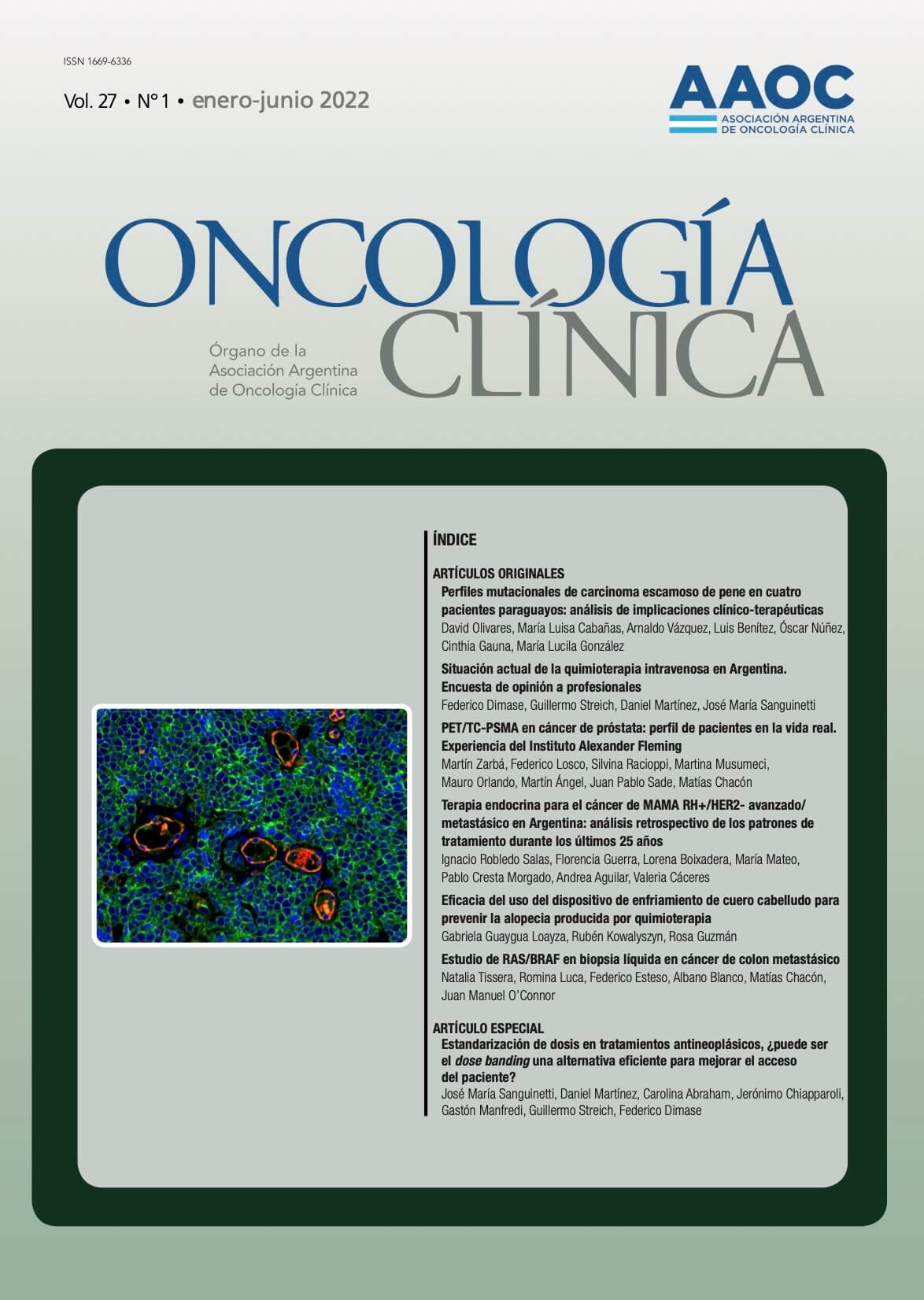 					Ver Vol. 27 Núm. 1 (2022): Oncología Clínica
				